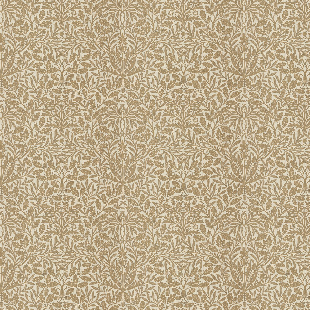 Acorn Wallpapers