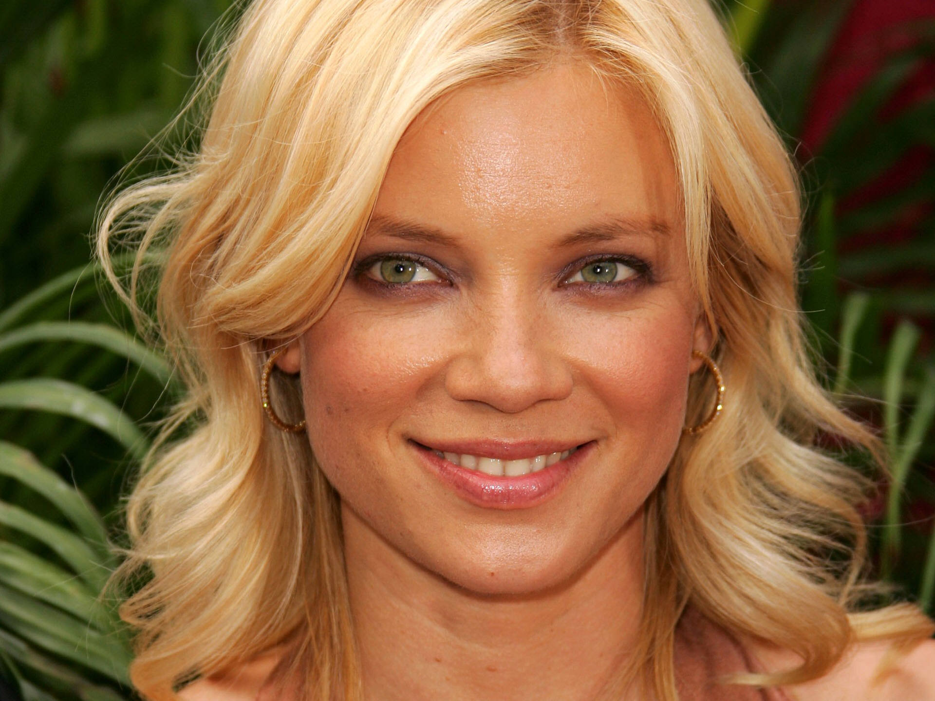 Amy Smart Wallpapers.