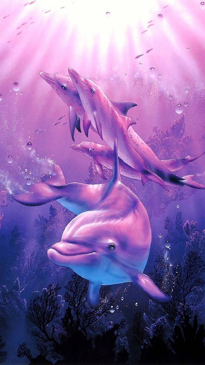 Dolphin For Iphone Wallpapers.