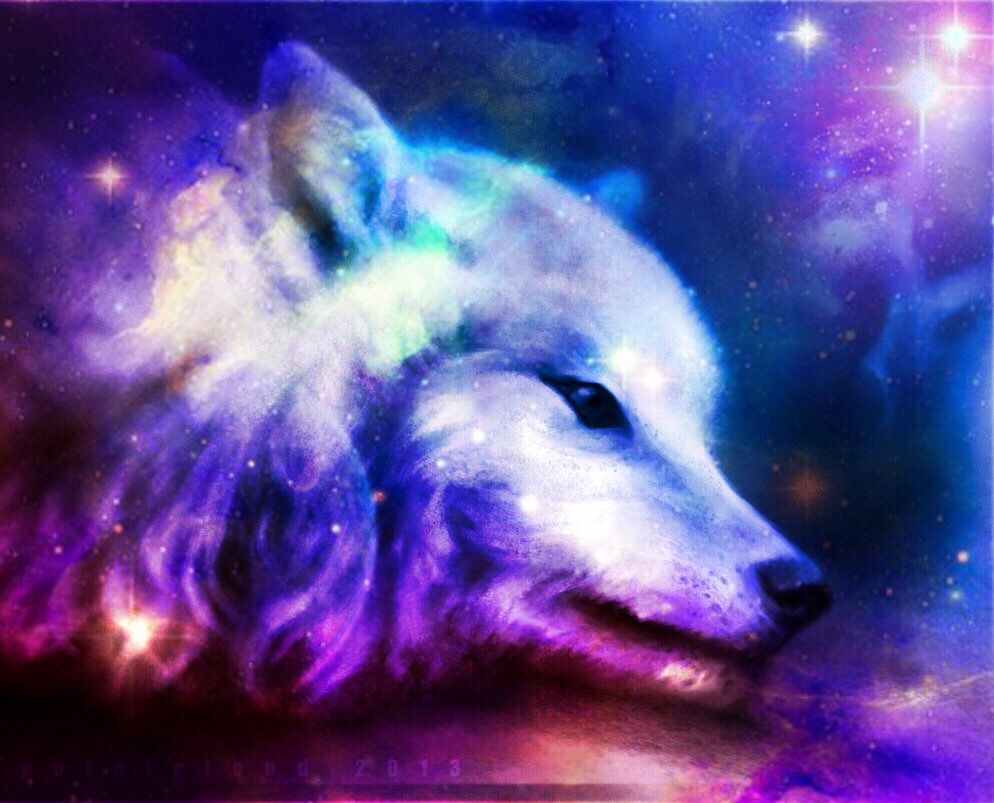 994X803 Anime Galaxy Wolf Wallpapers on WallpaperDog. 