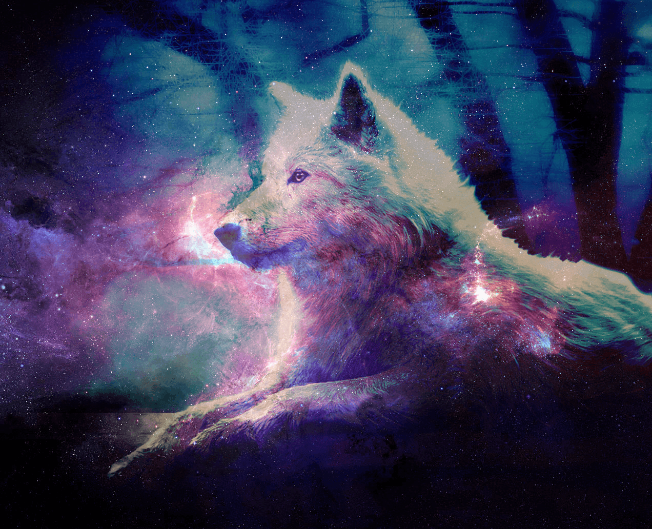 1272X1032 Cute Galaxy Wolf Wallpapers - Top Free Cute Galaxy Wolf Backgro.....
