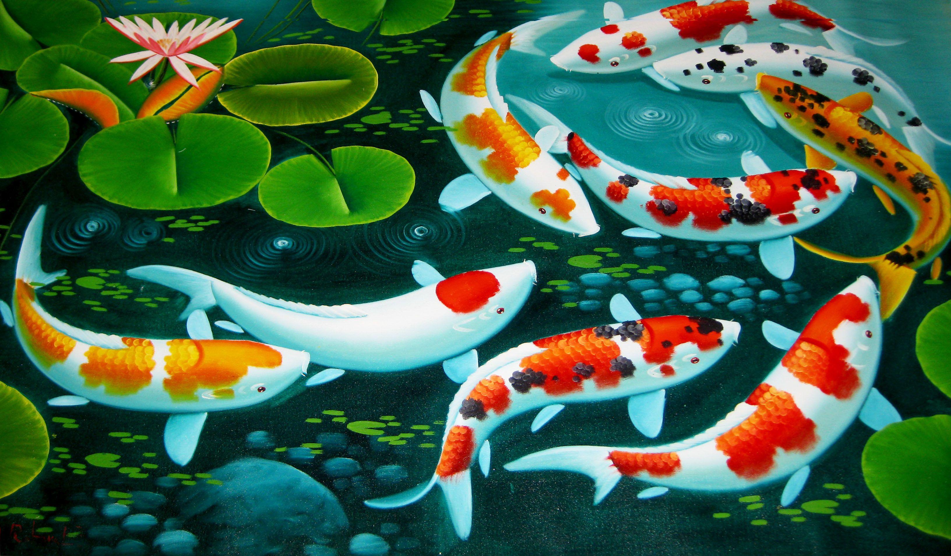 3264X1908 Koi Fish Desktop Wallpapers - Top Free Koi Fish Desktop Backgroun...