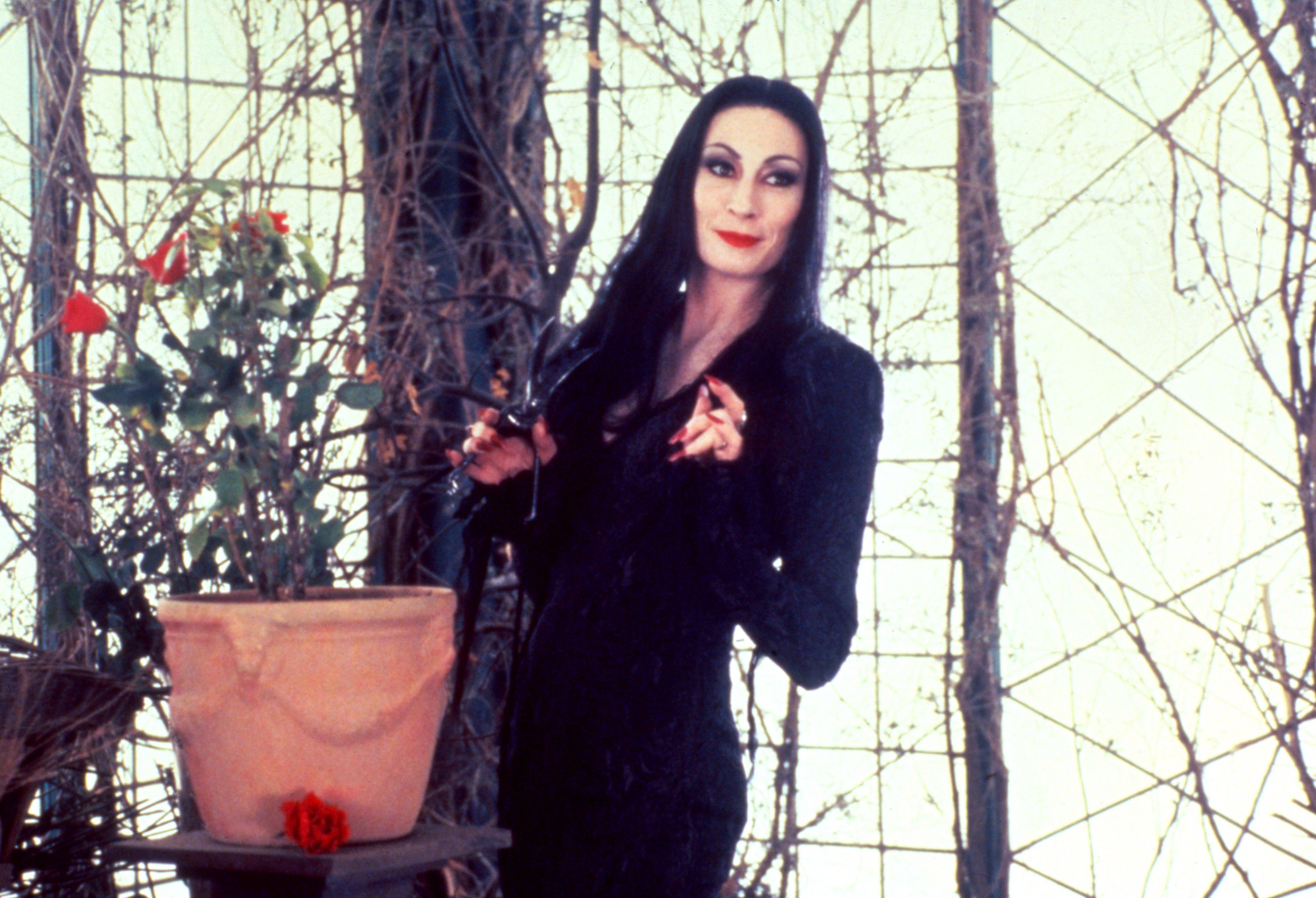 Morticia Addams The Addams Family Wallpapers.
