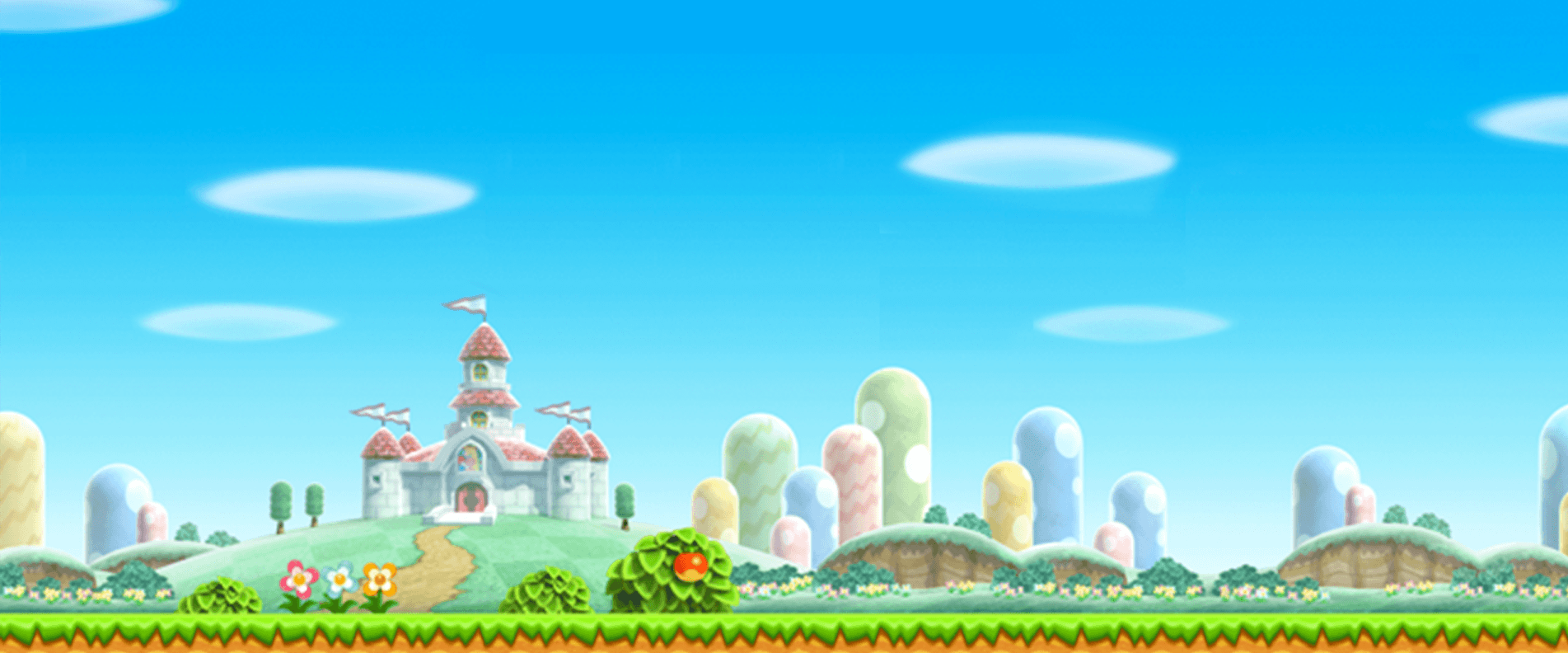 New Super Mario Bros Wii Background.