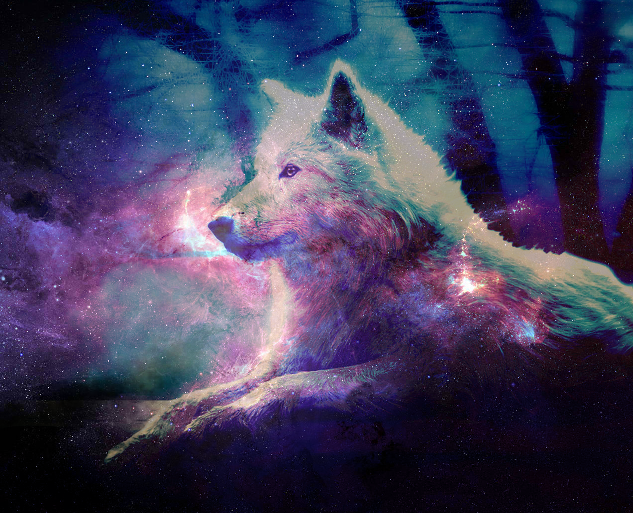 1272X1032 galaxy wolf WALLPAPER by cyberwolfowo on DeviantArt. 