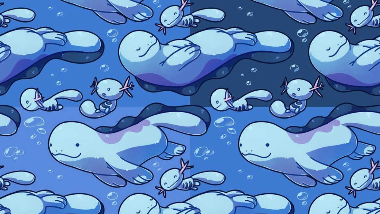 Quagsire Hd Wallpapers.