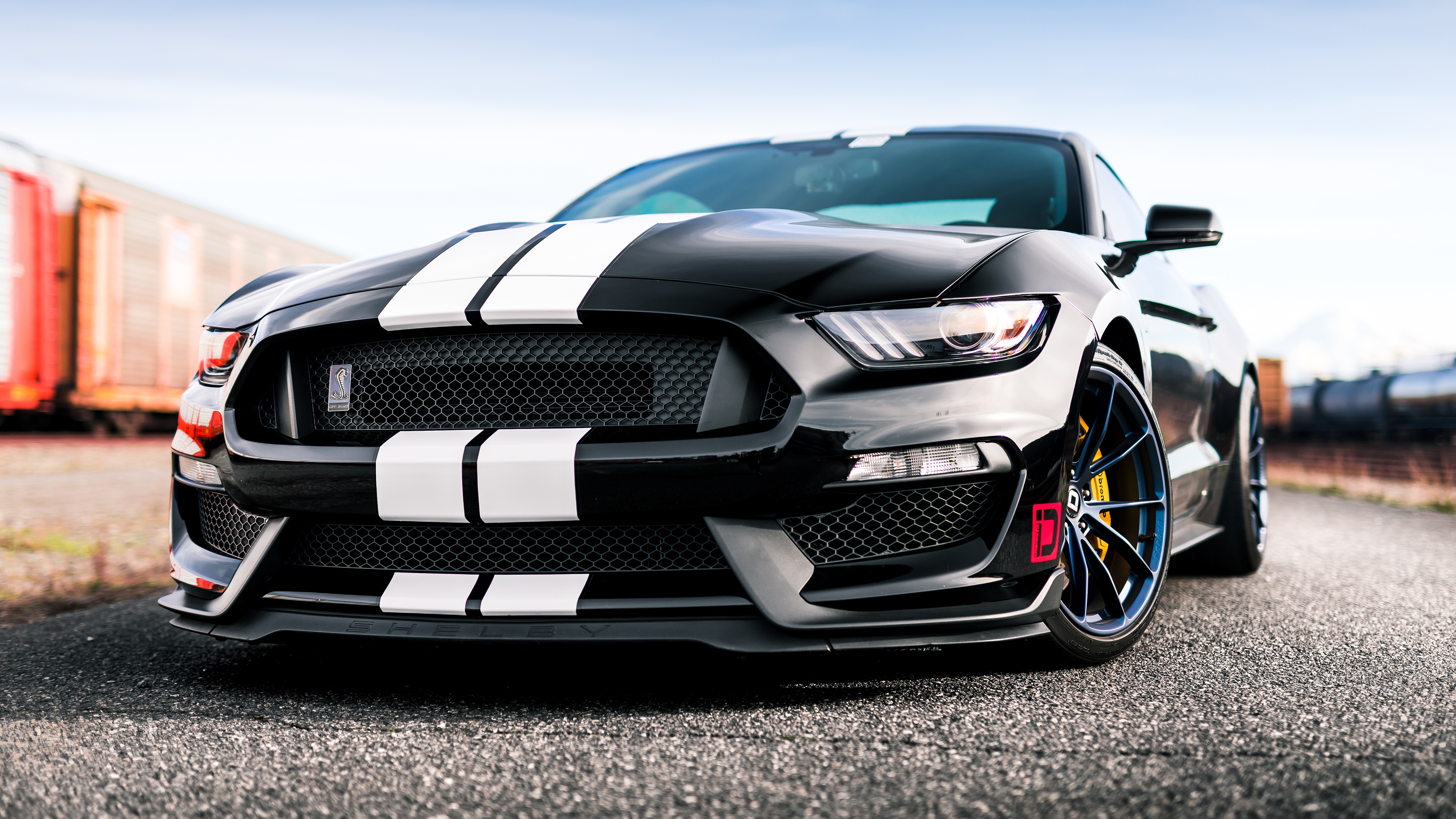 Shelby Mustang Gt 350 Wallpapers.