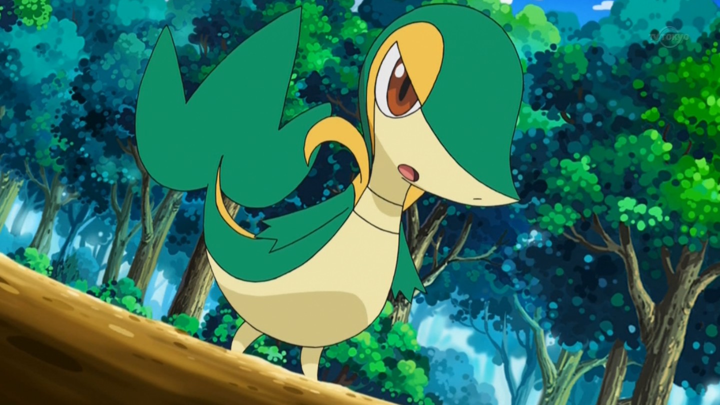 Snivy Hd Wallpapers.