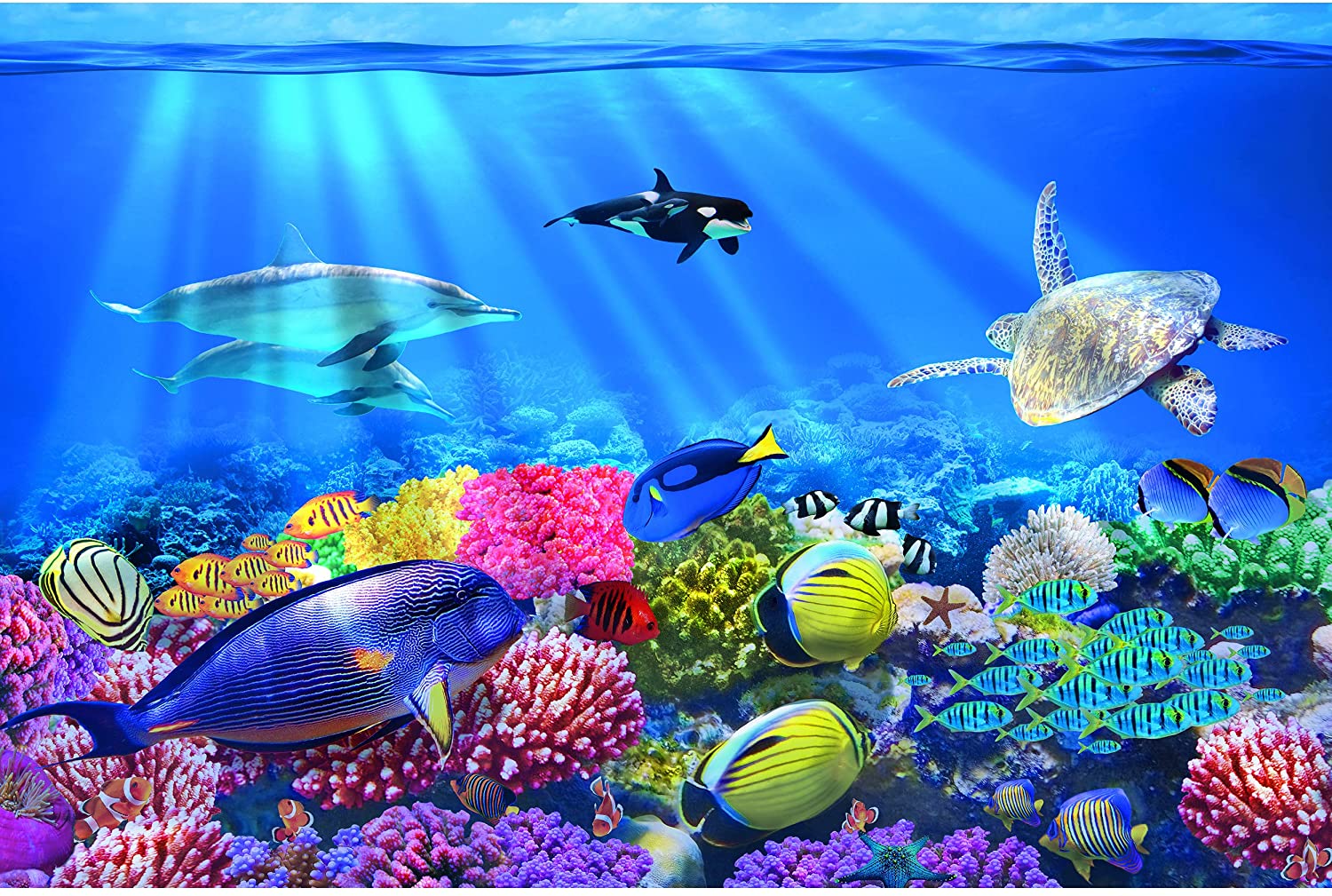 Underwater Coral Wallpapers Wallpapers - Most Popular Underwater 