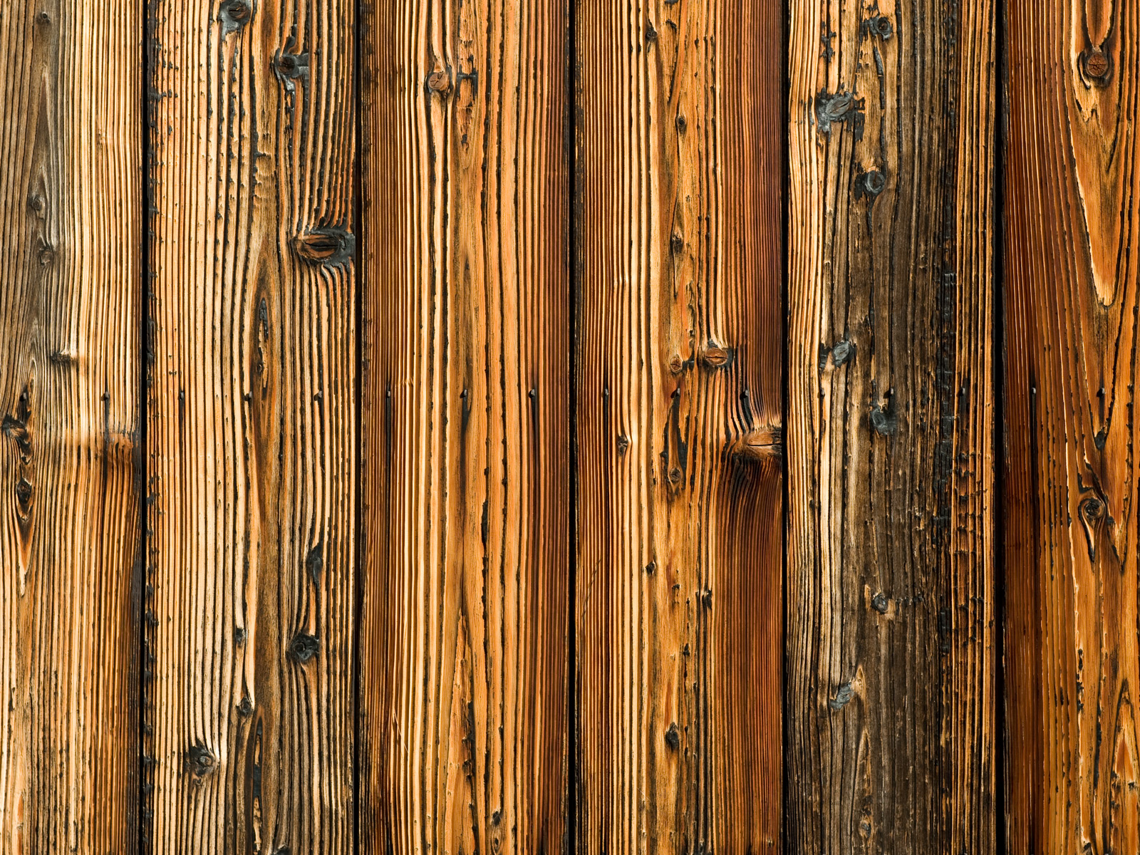 Western Wood Background