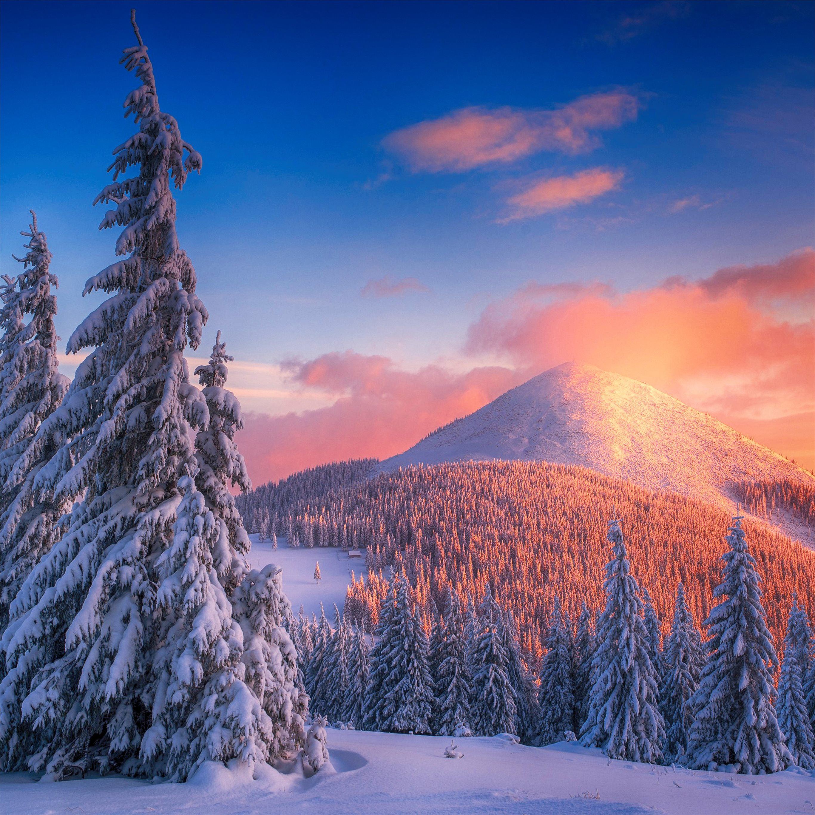 Winter Mountains And Trees Wallpapers