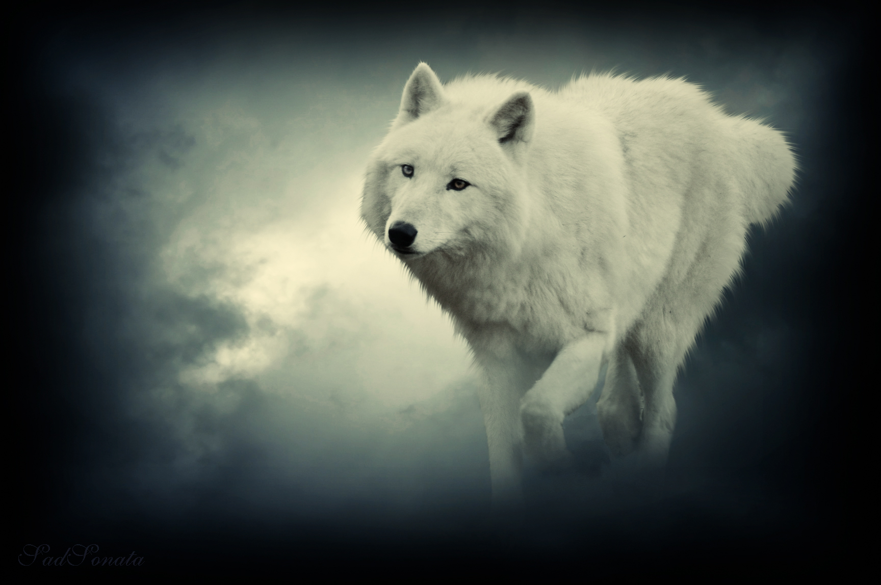 1728X1148 Fantasy Wolf Black Pack The Wolves Quotes Hd Wallpaper - Wolf - 1...
